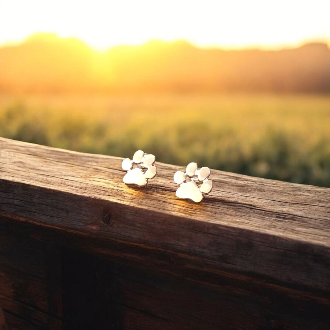 Hypoallergenic Paw Silver Earrings